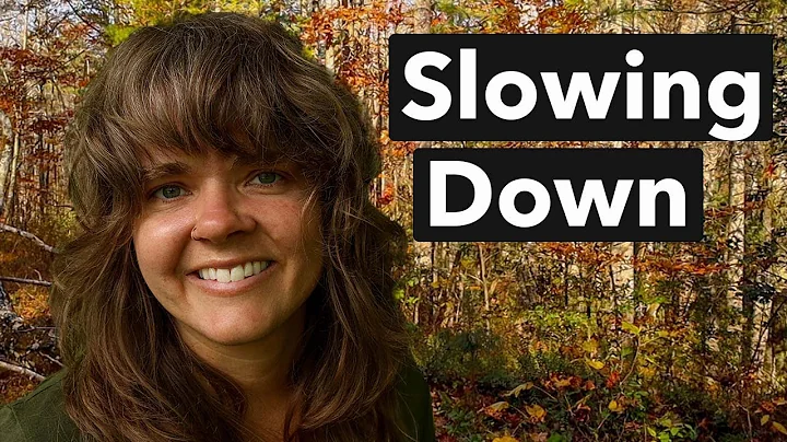 A Slow Walk Through the Fall Foliage