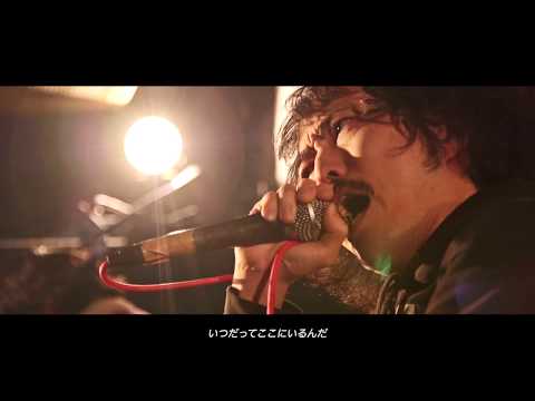 THE SENSATIONS / DIG YOUR OWN GRAVE【Official Video】