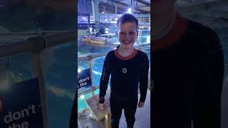 Junior Shark Dive Experience | Blueplanet Aquarium | Scuba
