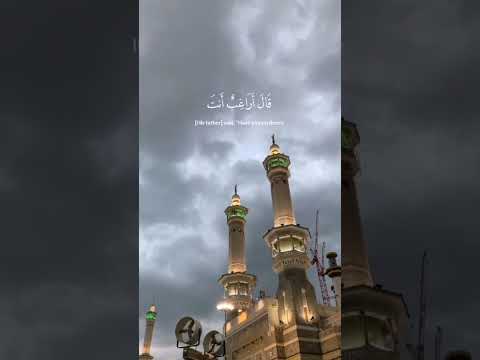 يـ أبت إني قد جآءني من العلم ما لم يأتك