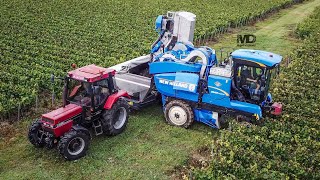 🍇Vendanges aux Vignobles des Agaises🍾