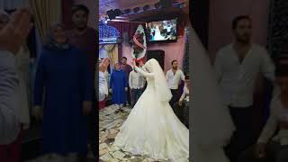 Türkiyem Halay Resimi