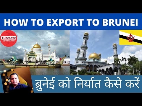 ब्रुनेई को निर्यात कैसे करें ? How to Export to Brunei ? Learn  Export Import Business .