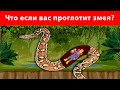 Что, если вас проглотит самая большая змея 🐍 Как выжить?