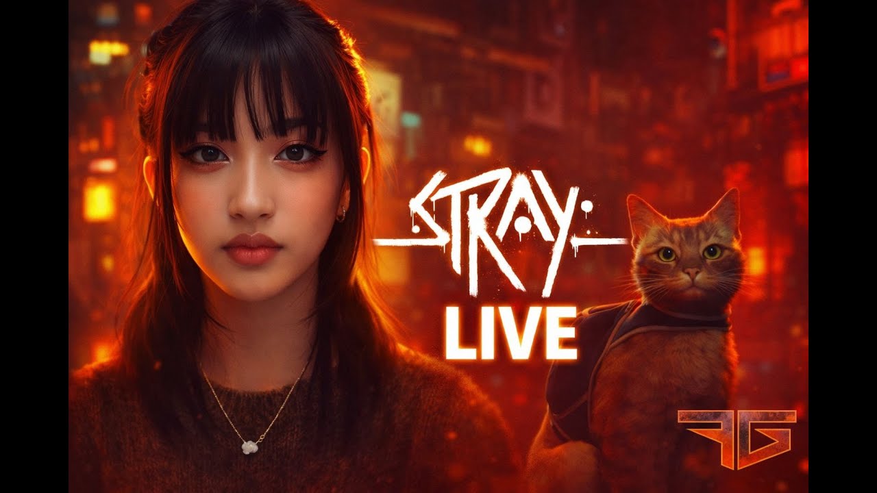 මම අනාගතයේදී පූසෙක් වෙලා ඉපදුණා යාලුවනේ 🐈 | STRAY