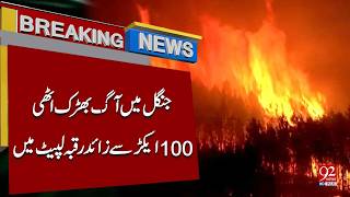 Massive Bla*ze in Jungle Spreads Over 100 Acres | Breaking News  | 92NewsHD