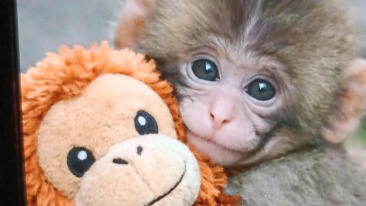 aarutoon🙋 is live