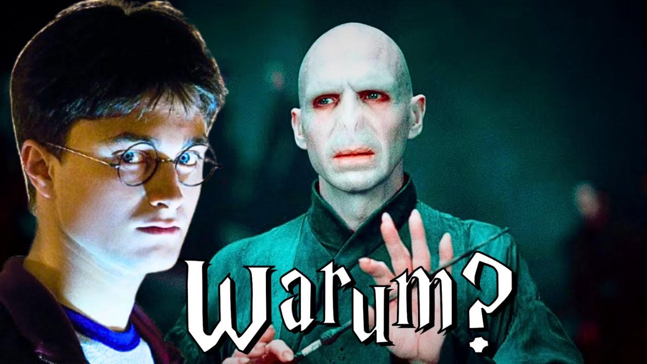 7 WARUM-Fragen, die in Harry Potter alles verändern