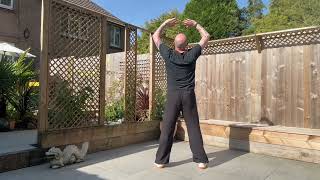 Spring Qigong Routine (Rear View) | Full Practice Follow Along