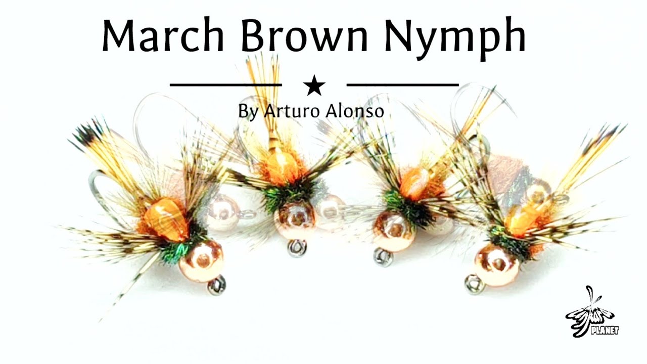 Montaje de una March Brown Nymph. Una ninfa muy resultona.
