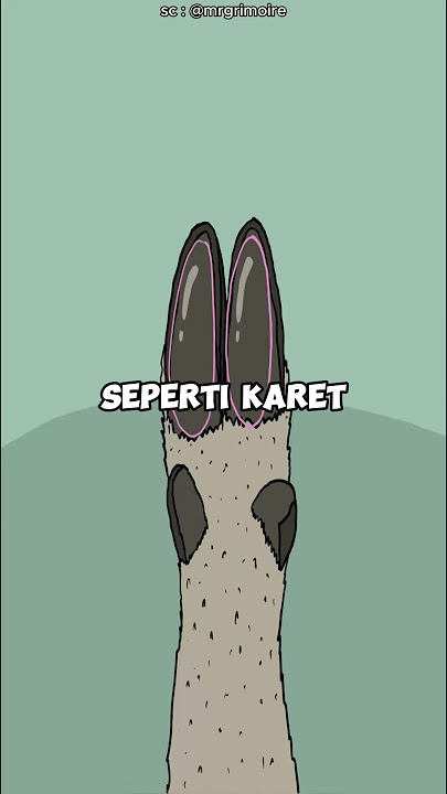 Kambing Gunung | Ahli Panjat Tebing dari Alam Liar