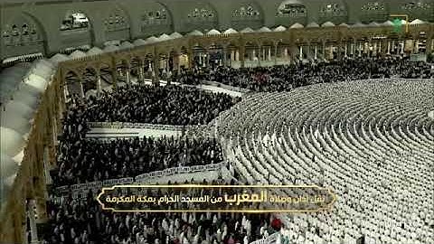 ' سورة الأحزاب ٣٨ - ٤٨ ' الشيخ #فيصل_غزاوي  صلاة المغرب ٨-٢-١٤٤٦ هـ