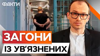 650 ув'язнених УЖЕ В ЛАВАХ ЗСУ ⚡⚡ Хто ВІЗЬМЕ ЗБРОЮ В РУКИ - Малюська