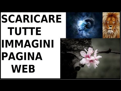 come scaricare tutte le immagini di una pagina web senza programmi salvare tutte le foto