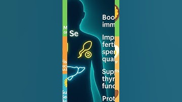 Selenium-Rich Foods for Immunity & Fertility #selenium #health #fertilitytips #thyroid #immunity