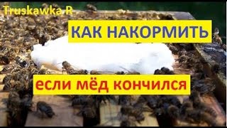 #пчёлы. Закончился корм посреди зимы  Несколько способов как восполнить запасы кормов в лютый холод