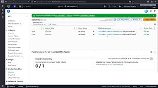 EBS Disk attache to Linux instance