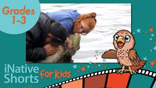 Alaska Native Heritage for Kids | Indigenous Life, Food &amp; Traditions | iNative Shorts for Kids