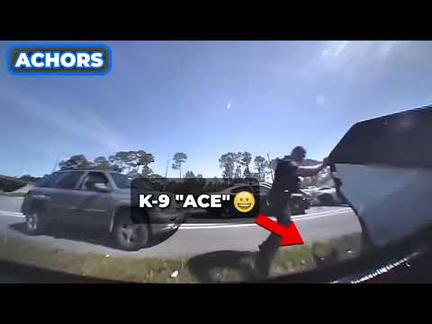 Florida Police Chase Ends in Total Chaos