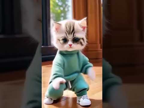 مبدأنا السنه ديا  اكسبلور حالات واتس    