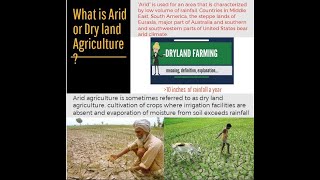 What is Arid Agriculture or Dry Land Agriculture? I Arid Agriculture and Kitchen Gardening