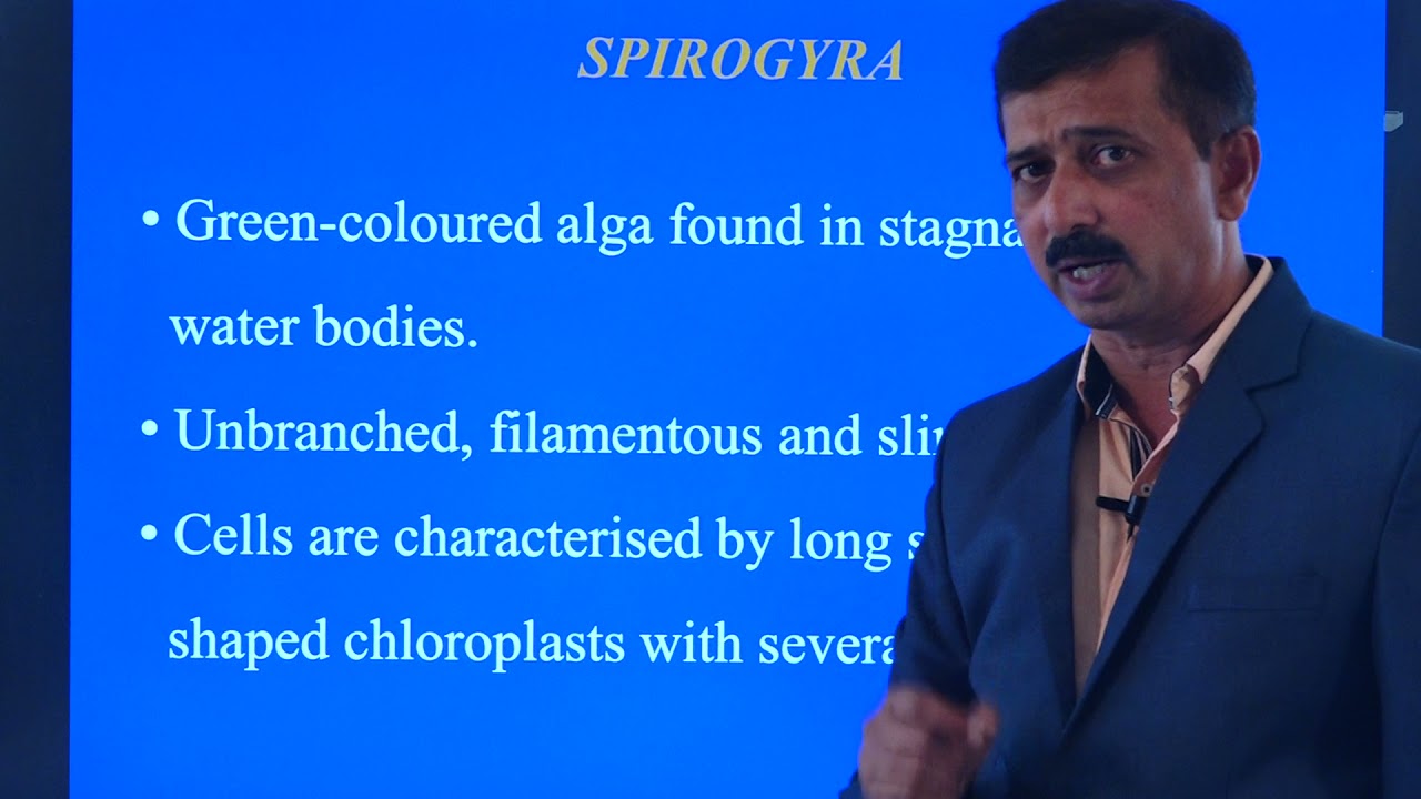 I PUC BIOLOGY PRACTICAL: STUDY OF BACTERIA,FUNGI AND PLANT SPECIMEN
