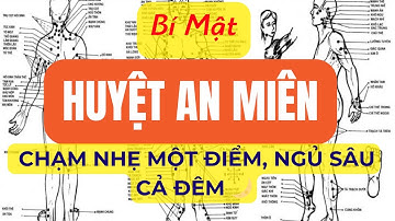 Bí mật huyệt An Miên – Chạm nhẹ 1 điểm, ngủ sâu cả đêm 🌙
