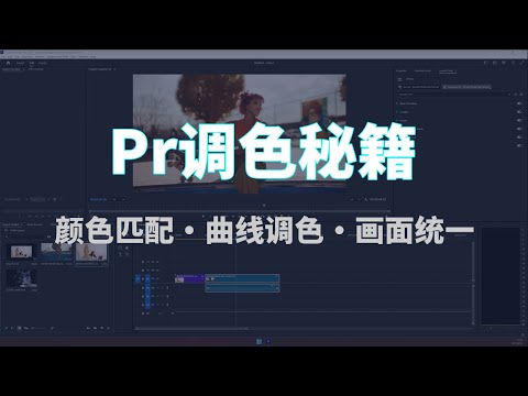 Premiere Pro调色终极指南｜颜色匹配+曲线调色一键统一画面！????【Pr教程】