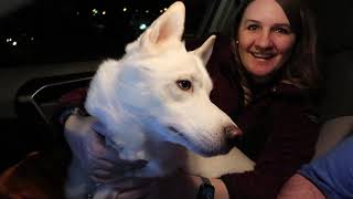 STROLL THROUGH CHATTANOOGA TENNESSEE AT NIGHT