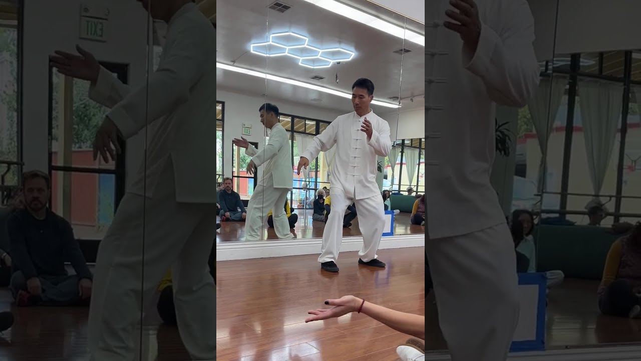 Master Chen Bing: How to find & maintain Dantian; Chan Si (at 2025 SFBA Laojia Yilu Seminar)