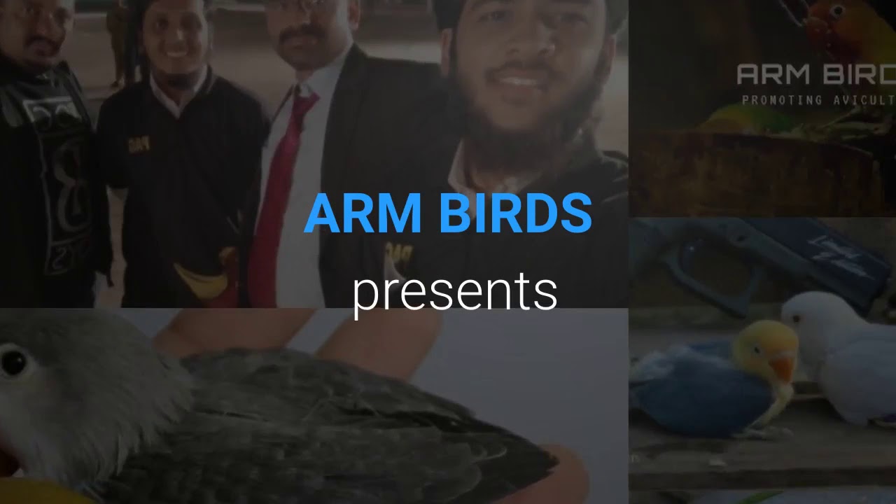 Learning Mutation# 2: Blue2 Fischeri l How to produce 