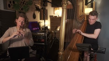 Concerning hobbits from The Lord of the Rings // tin whistle and harp cover