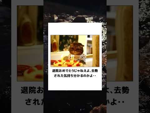 【猫】殿堂入りボケてに廃人が全力でアフレコしてみたw【第6弾】 #ボケて #アフレコ #猫