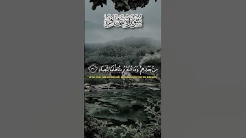 سورة غافر بصوت جميل