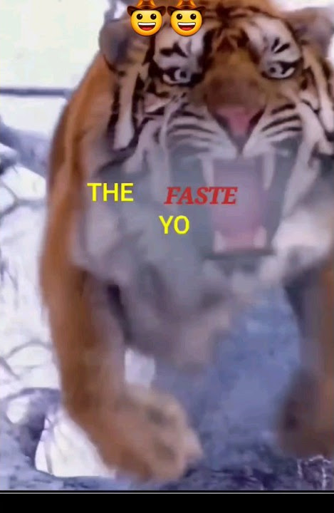 sigma rule😎🔥~Attitude statu😈|Whatsapp status|Attitude quotes #shorts #quotes #attitude #trending