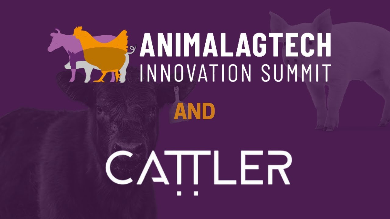 Animal AgTech Innovation Summit 2025 with CATTLER