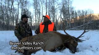 Man vs Elk Keith Thompson bull elk hunt