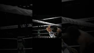 Bro Thought He Could Win 💀#romanreigns #viral #fighting #wweedit #boxing
