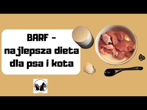 Wideo: Choroba serca u psów: co musisz wiedzieć