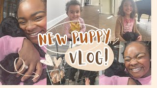 ADDING TO OUR FAMILY | SOON TO BE FAMILY OF 6 | DAY IN THE LIFE WITH THE HENSLEY'S |
