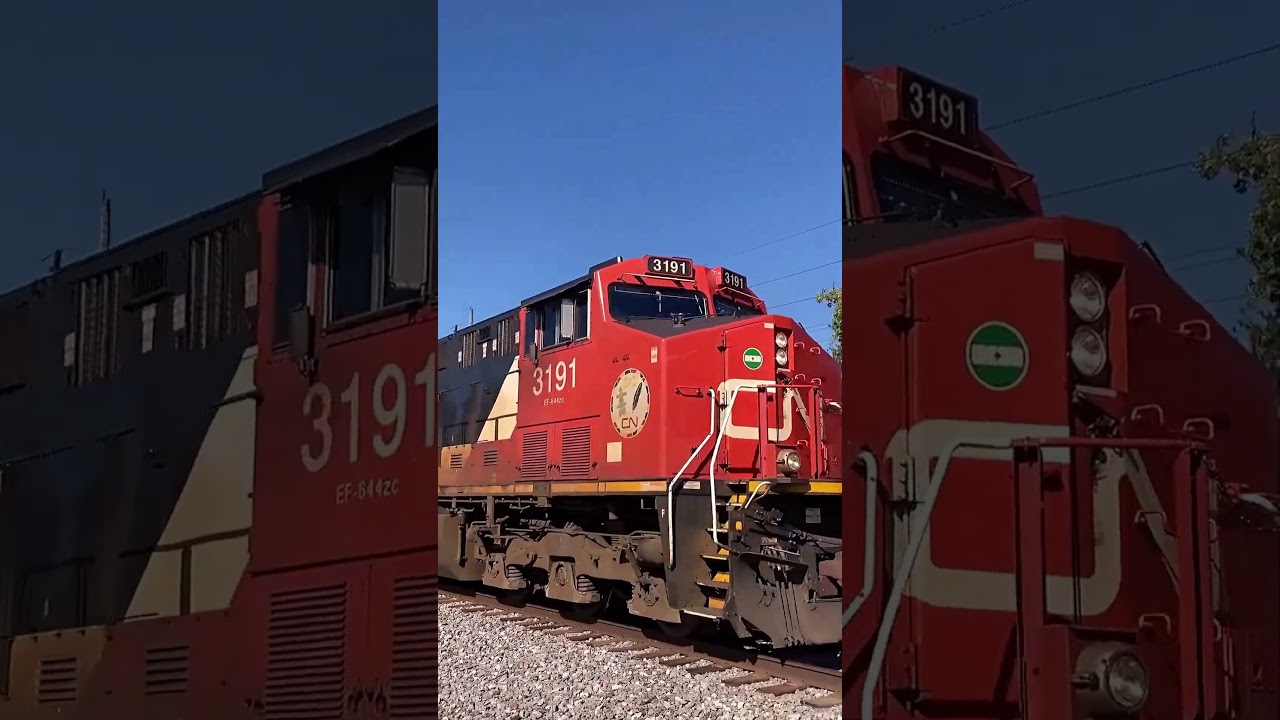 Two CN Locals And A Hopper Train At Hillside Illinois