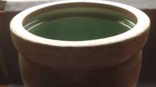 信楽焼 水鉢 窯肌ケズリ天 【 新築祝い 引越祝い など 新生活 の お祝い に 信楽焼 水鉢 】