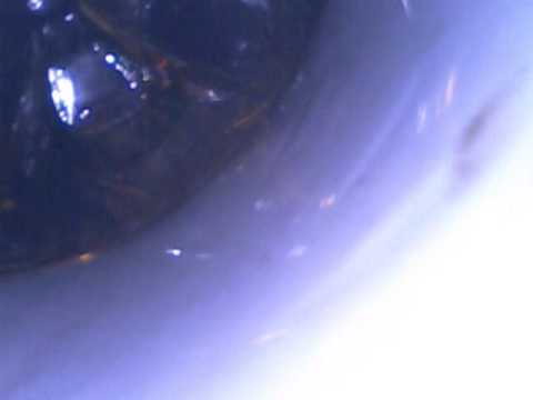 USB Fever Borescope Review 1 USB Fever Borescope
