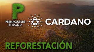 Reforestación | Proyecto Bosque Cardano | Permacultura en Galicia