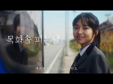 Видео: Трейлер (День цветения хлопка, 2024) - вся информация о фильме на FilmNavi.ru