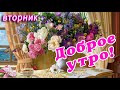 ВТОРНИК 🎺 ДОБРОГО УТРА / ДОБРОЕ УТРО / С ДОБРЫМ УТРОМ / ДОБРОГО УТРА ЛЮБИМОЙ / ПОЗИТИВ / ПОЗИТИВЧИК