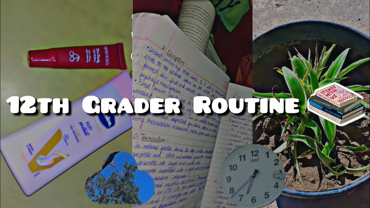 12th grader Day in life 🌺 |Aesthetic| cozy vlog | 🌷✨