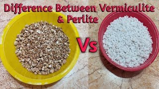 Perlite Vs Vermiculite| Best Hydroponic medial| What is Perlite What is Vermiculite| Soil less media