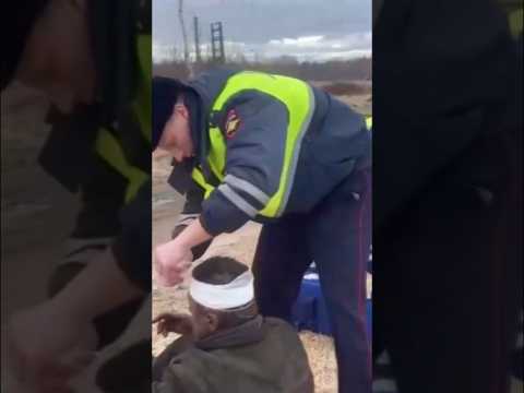 ГАИШНИКИ АХНУЛИ! ИХ ЛЮБИМАЯ ПЕСНЯ! Звучат ГАИ знакомые сирены #добронравов #shorts #происшетсвия