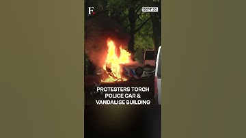 Netherlands: Anti-Immigration Protesters Clash With Police  | N18G